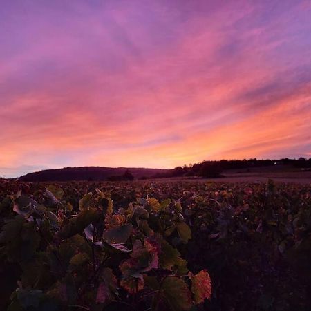 Le Clos Du Botaniste Pouilly-le-Monial Exterior foto