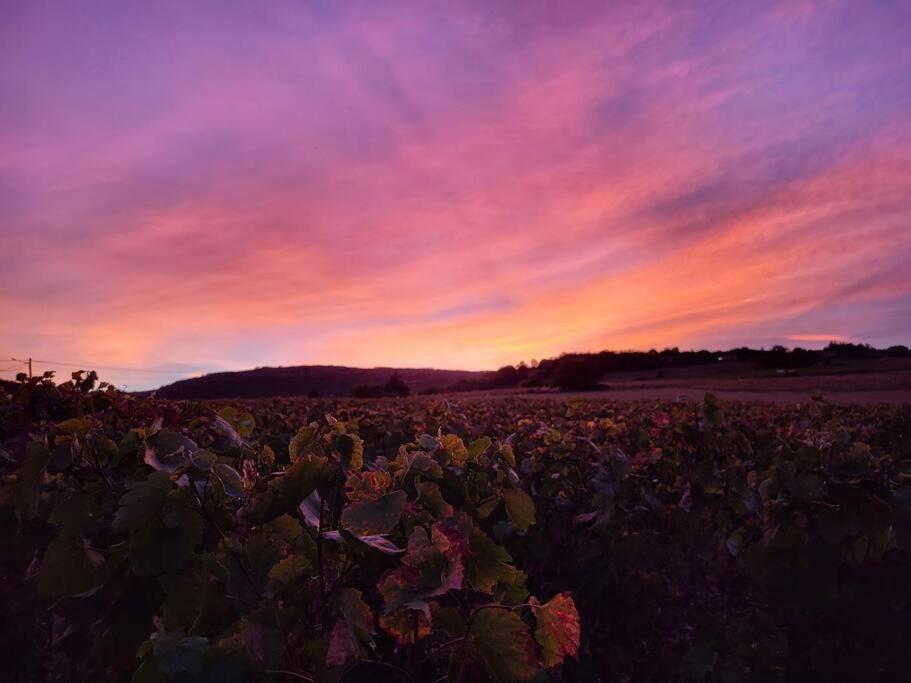 Le Clos Du Botaniste Pouilly-le-Monial Exterior foto
